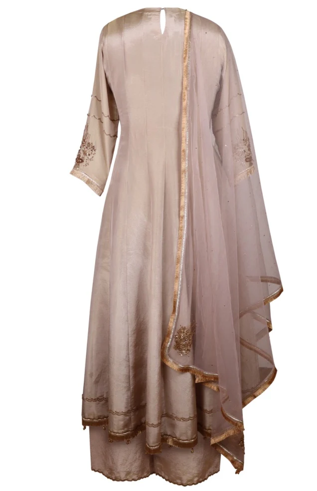 Organza Anarkali - Image 3